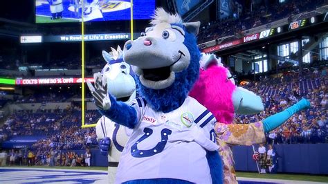 The Blue Clad Mascot's Signature Moves: Engaging the Crowd at Colts' Games